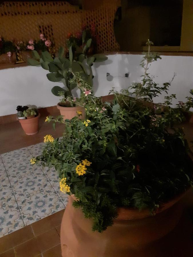 Villa Dolce Far Niente à Noto Extérieur photo